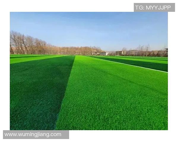 优质足球场人工草坪厂家推荐助力运动场地建设与维护