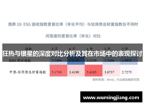 狂热与银星的深度对比分析及其在市场中的表现探讨